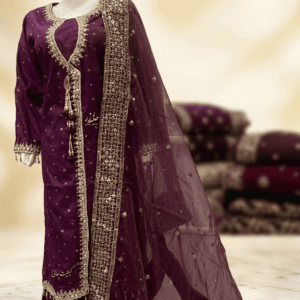 Deep Maroon Velvet Suit with Heavy Embroidery