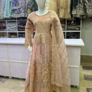 Fancy bridal dress